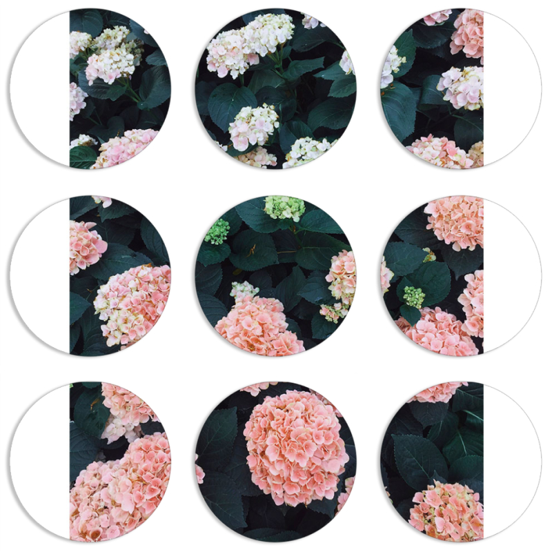 Магнитные фотопазлы круги d55 набор 9 штук 