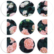 Магнитные фотопазлы круги d55 набор 9 штук 