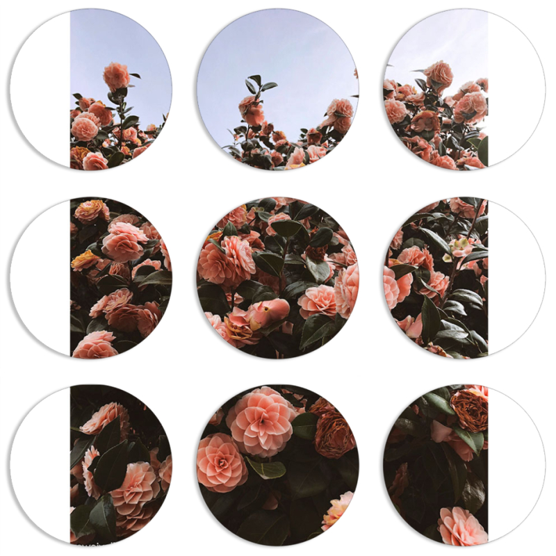 Магнитные фотопазлы круги d55 набор 9 штук 