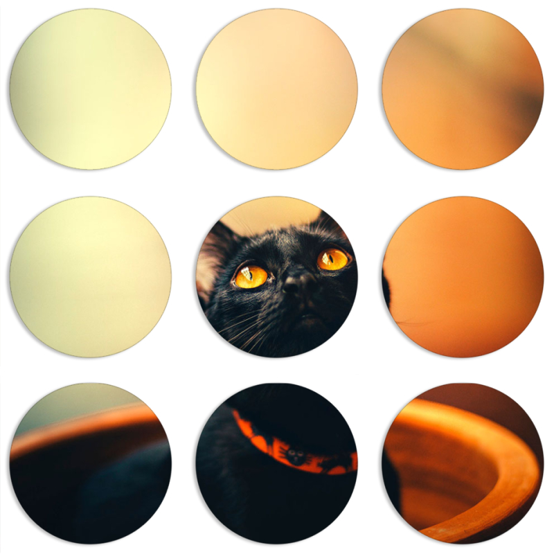 Магнитные фотопазлы круги d55 набор 9 штук 