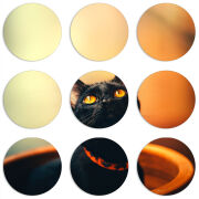 Магнитные фотопазлы круги d55 набор 9 штук 