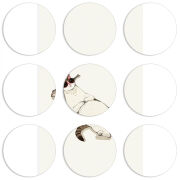 Магнитные фотопазлы круги d55 набор 9 штук 