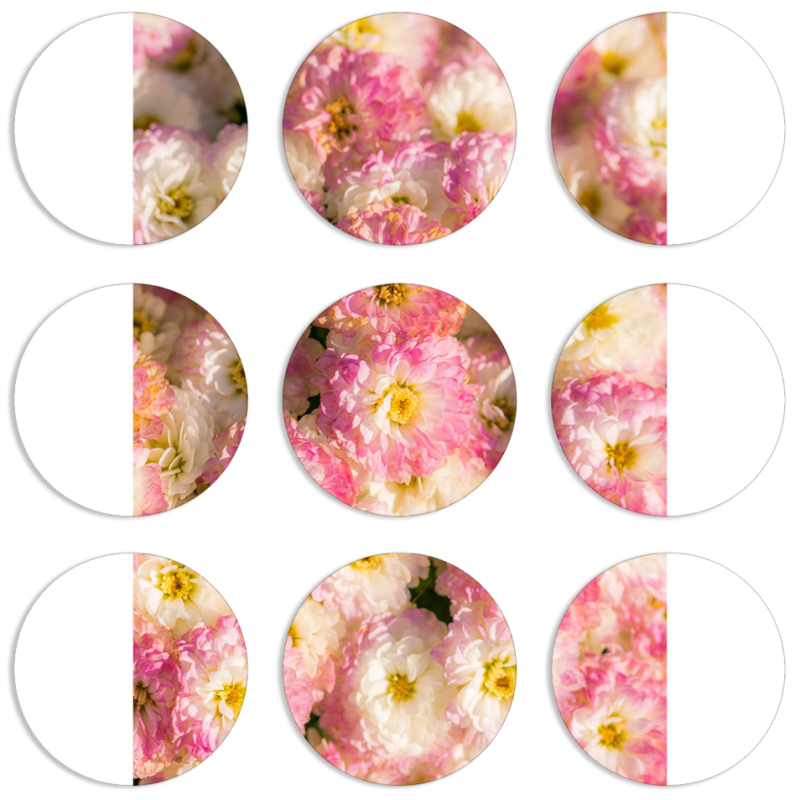 Магнитные фотопазлы круги d55 набор 9 штук 