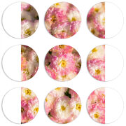 Магнитные фотопазлы круги d55 набор 9 штук 