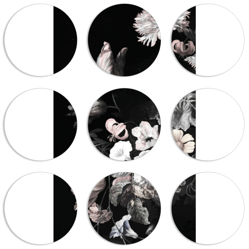 Магнитные фотопазлы круги d55 набор 9 штук 