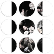 Магнитные фотопазлы круги d55 набор 9 штук 