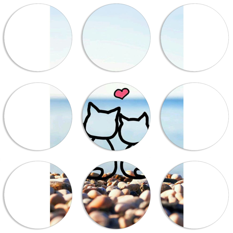 Магнитные фотопазлы круги d55 набор 9 штук 