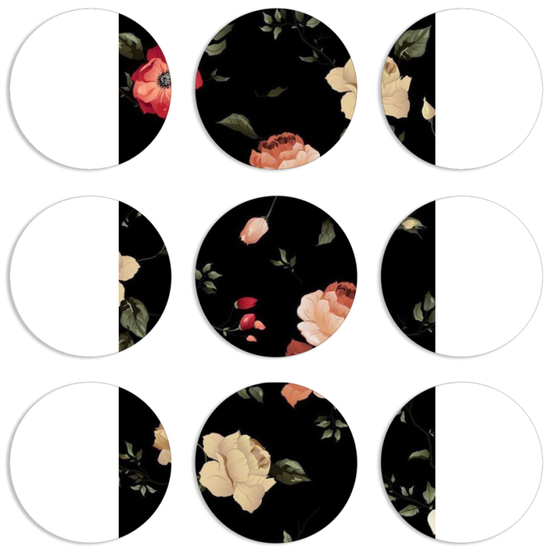 Магнитные фотопазлы круги d55 набор 9 штук 