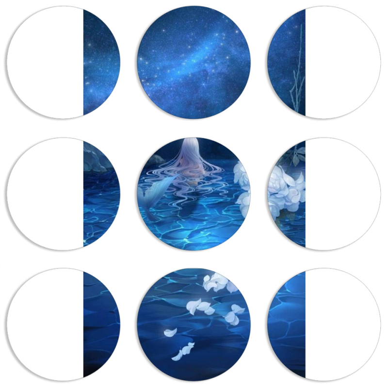 Магнитные фотопазлы круги d55 набор 9 штук 