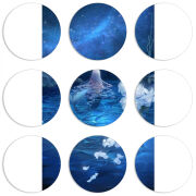 Магнитные фотопазлы круги d55 набор 9 штук 