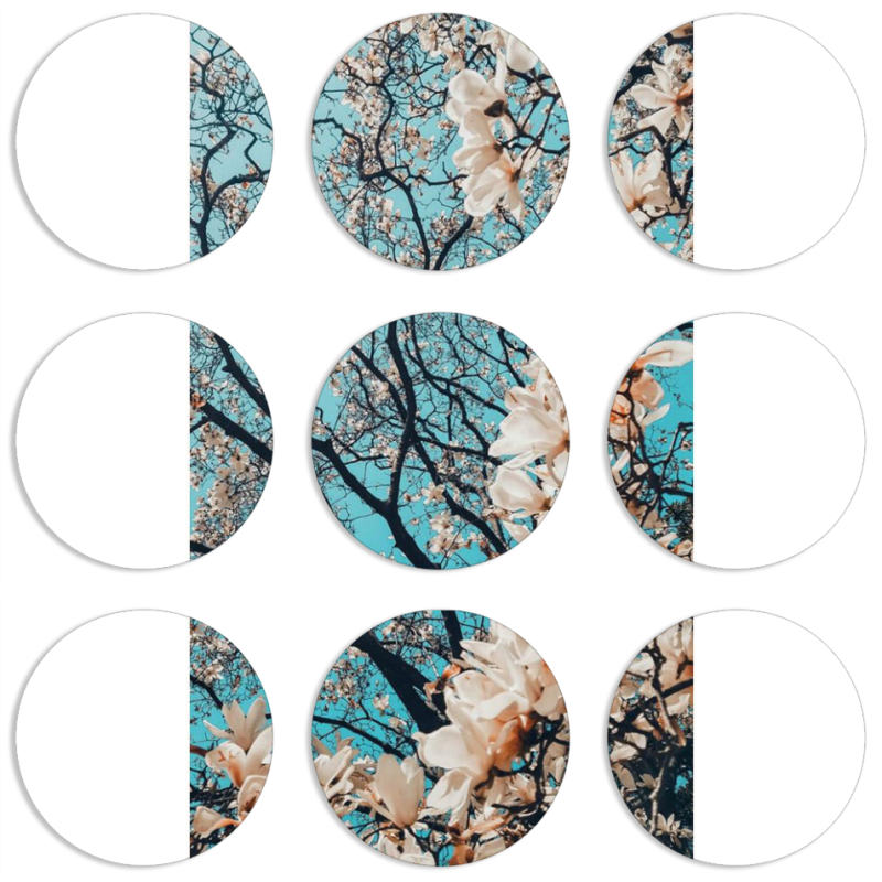 Магнитные фотопазлы круги d55 набор 9 штук 