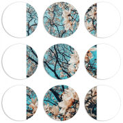Магнитные фотопазлы круги d55 набор 9 штук 