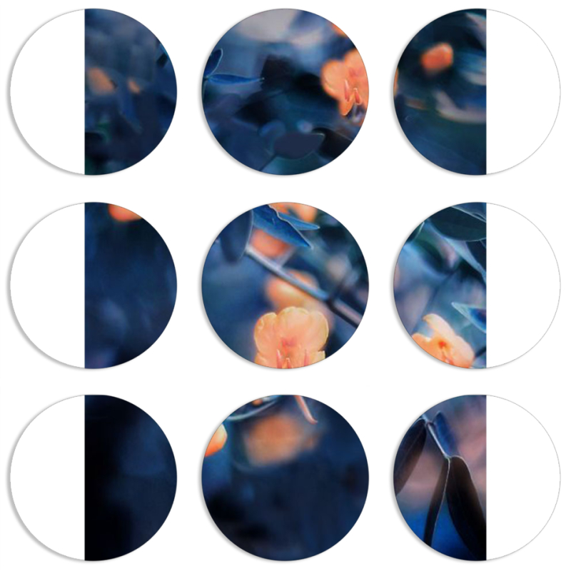 Магнитные фотопазлы круги d55 набор 9 штук 