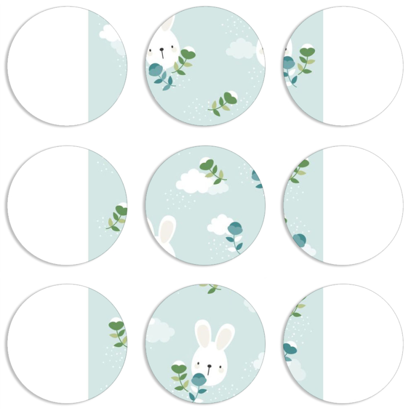 Магнитные фотопазлы круги d55 набор 9 штук 