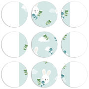 Магнитные фотопазлы круги d55 набор 9 штук 