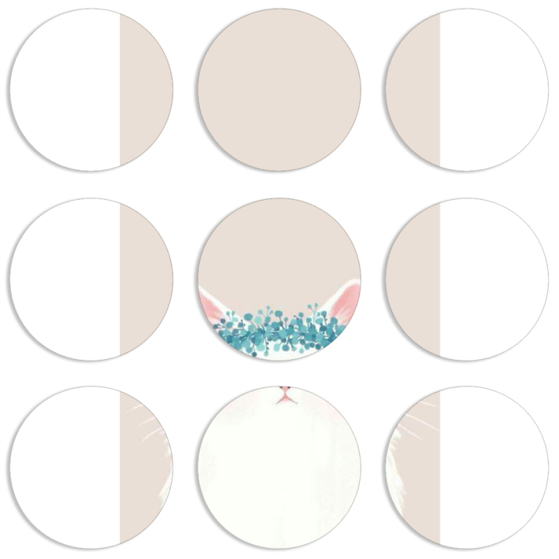 Магнитные фотопазлы круги d55 набор 9 штук 