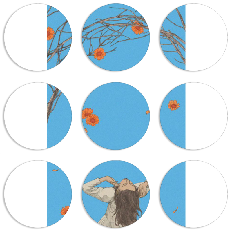 Магнитные фотопазлы круги d55 набор 9 штук 