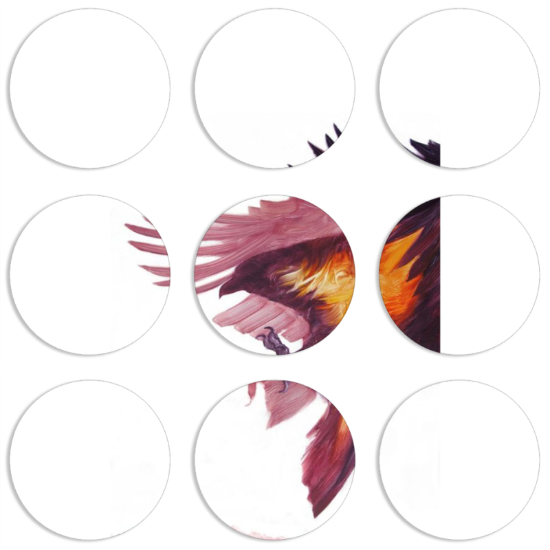 Магнитные фотопазлы круги d55 набор 9 штук 