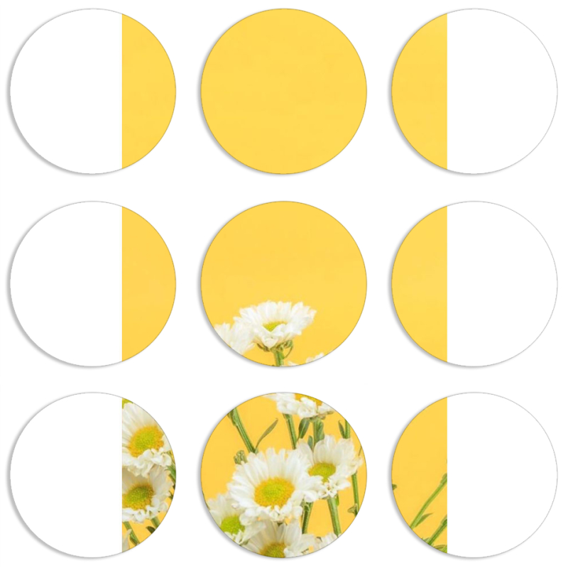 Магнитные фотопазлы круги d55 набор 9 штук 