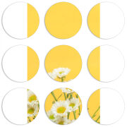 Магнитные фотопазлы круги d55 набор 9 штук 