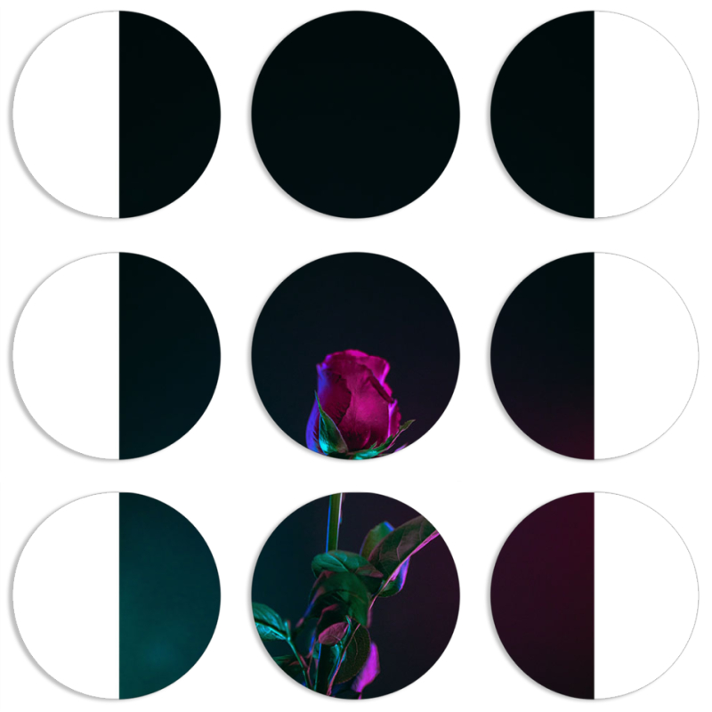 Магнитные фотопазлы круги d55 набор 9 штук 