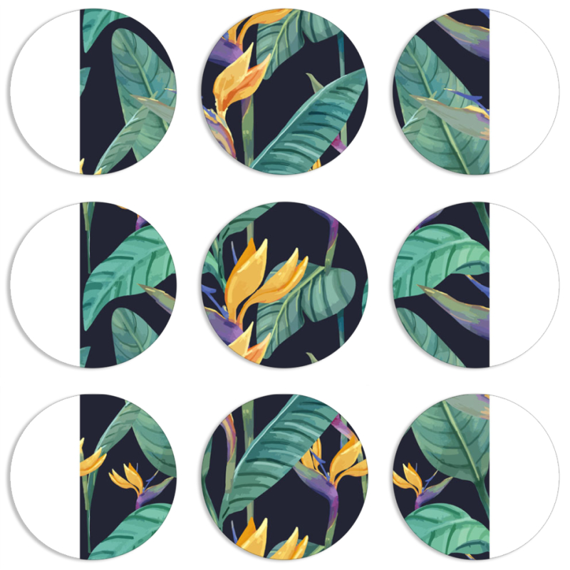 Магнитные фотопазлы круги d55 набор 9 штук 