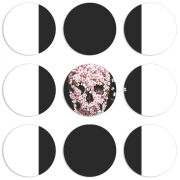 Магнитные фотопазлы круги d55 набор 9 штук 