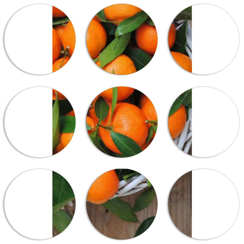 Магнитные фотопазлы круги d55 набор 9 штук 