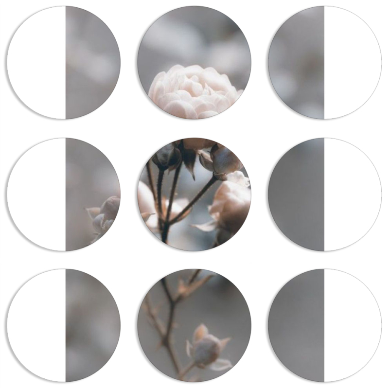 Магнитные фотопазлы круги d55 набор 9 штук 