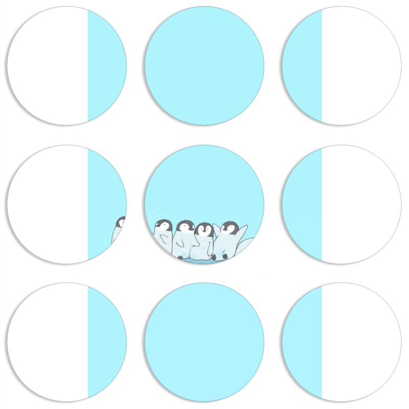 Магнитные фотопазлы круги d55 набор 9 штук 