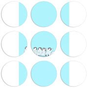 Магнитные фотопазлы круги d55 набор 9 штук 