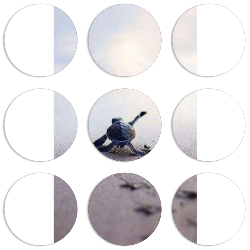 Магнитные фотопазлы круги d55 набор 9 штук 