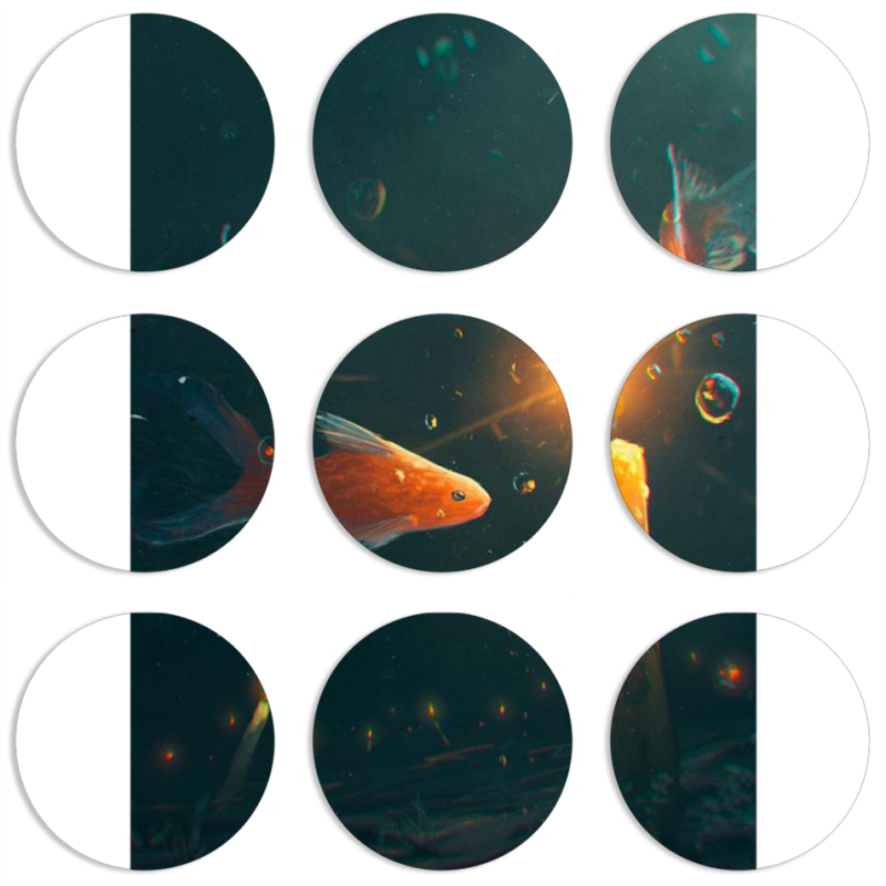 Магнитные фотопазлы круги d55 набор 9 штук 