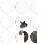 Магнитные фотопазлы круги d55 набор 9 штук 