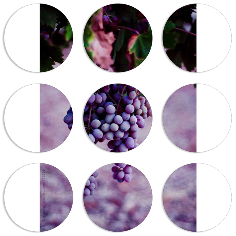 Магнитные фотопазлы круги d55 набор 9 штук 