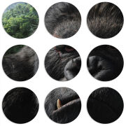 Магнитные фотопазлы круги d55 набор 9 штук Kong