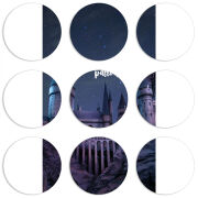 Магнитные фотопазлы круги d55 набор 9 штук 