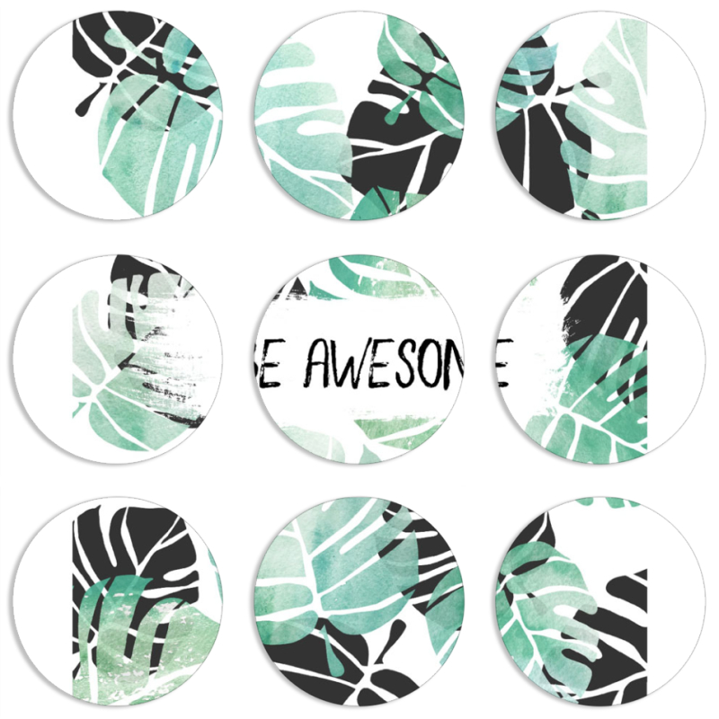 Магнитные фотопазлы круги d55 набор 9 штук 