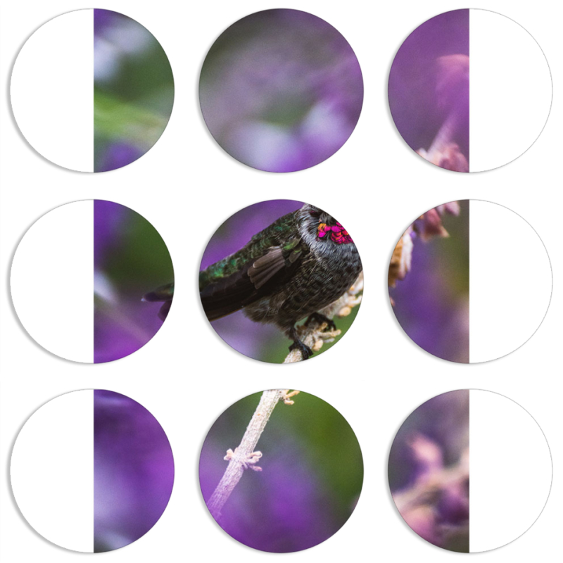 Магнитные фотопазлы круги d55 набор 9 штук 