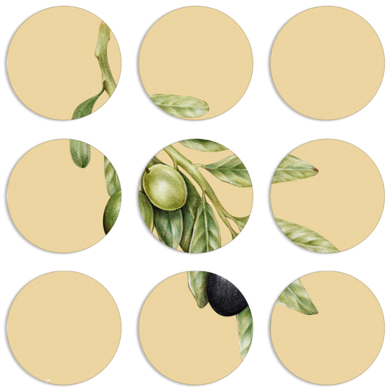 Магнитные фотопазлы круги d55 набор 9 штук 