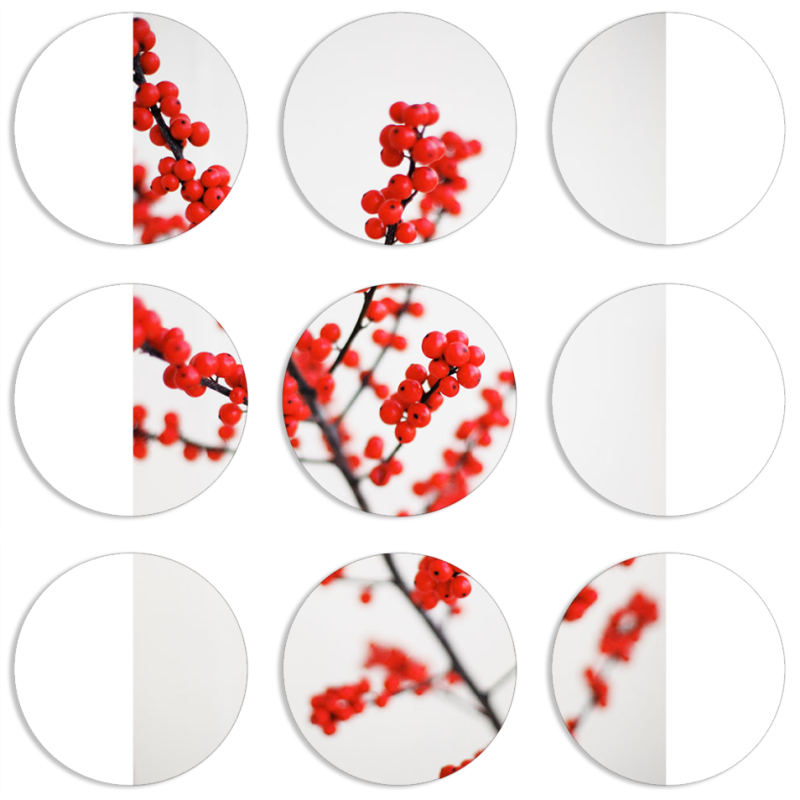 Магнитные фотопазлы круги d55 набор 9 штук 