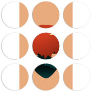 Магнитные фотопазлы круги d55 набор 9 штук 