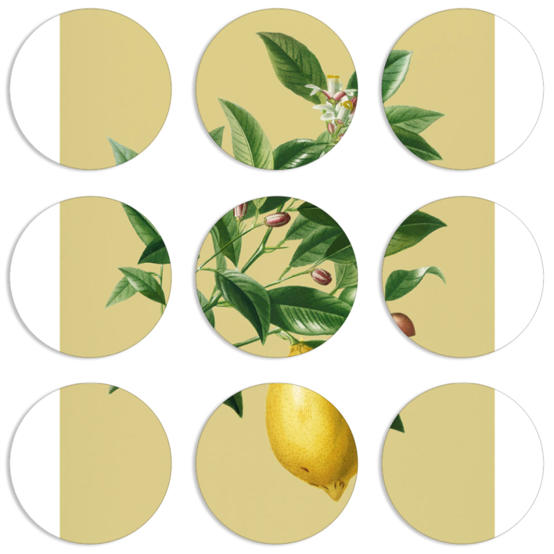 Магнитные фотопазлы круги d55 набор 9 штук 