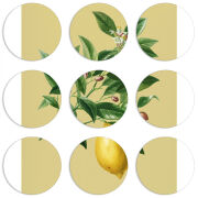 Магнитные фотопазлы круги d55 набор 9 штук 