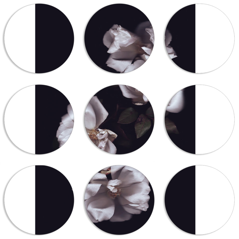 Магнитные фотопазлы круги d55 набор 9 штук 