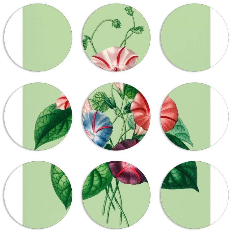 Магнитные фотопазлы круги d55 набор 9 штук 