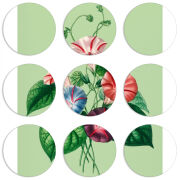 Магнитные фотопазлы круги d55 набор 9 штук 