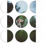 Магнитные фотопазлы круги d55 набор 9 штук 