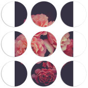 Магнитные фотопазлы круги d55 набор 9 штук 