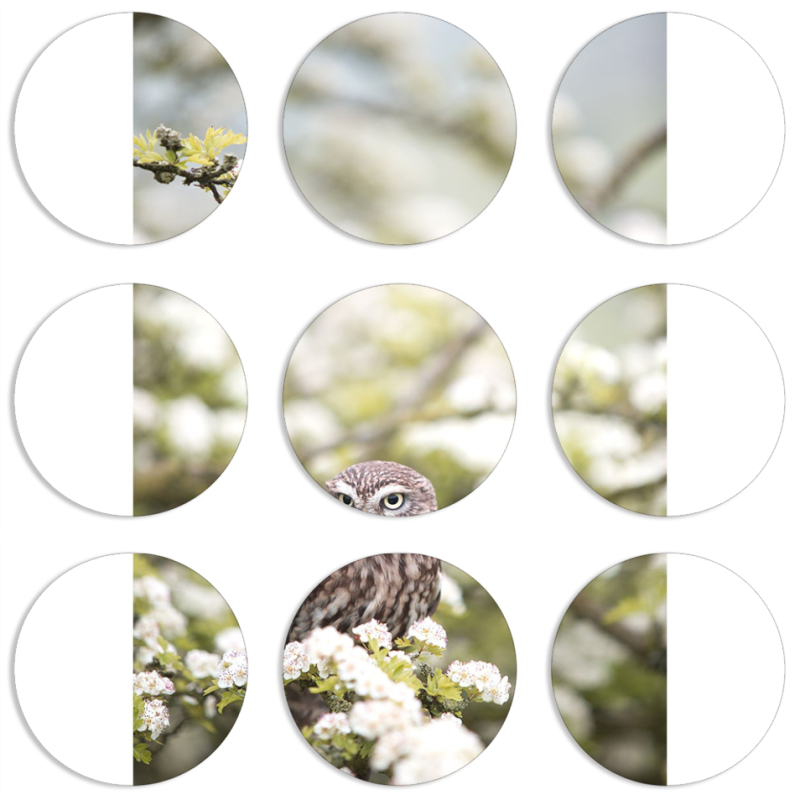 Магнитные фотопазлы круги d55 набор 9 штук 